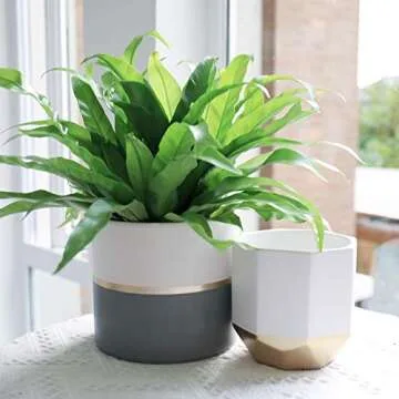 Elegant Gray and Gold Flower Pots - Versatile Indoor/Outdoor Planters