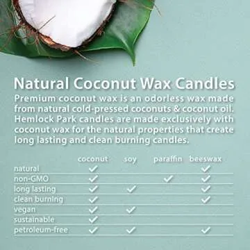 Hemlock Park Candle - Eco-Friendly Coconut Wax & Blood Orange Sage