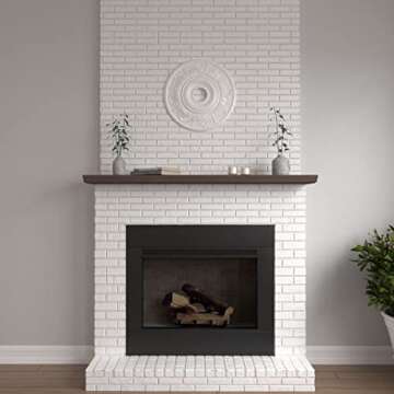 Ekena Millwork CM20VI Vienna Ceiling Medallion, 20"OD x 3 1/2"ID x 1 1/2"P, Factory Primed