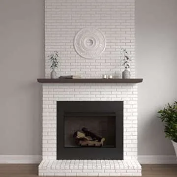 Ekena Millwork CM20VI Vienna Ceiling Medallion, 20"OD x 3 1/2"ID x 1 1/2"P, Factory Primed