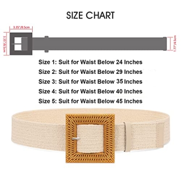 Stylish WHIPPY Straw Woven Elastic Belts Set for Women
