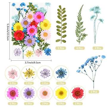 Real Dried Pressed Flowers and Leaves - 73pcs Mixed Multiple Dry Flower and Leaf with Tweezer for DIY Candel Resin Jewelry Nail Pendant Crafts Art Floral Decoration