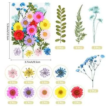 Real Dried Pressed Flowers and Leaves - 73pcs Mixed Multiple Dry Flower and Leaf with Tweezer for DIY Candel Resin Jewelry Nail Pendant Crafts Art Floral Decoration