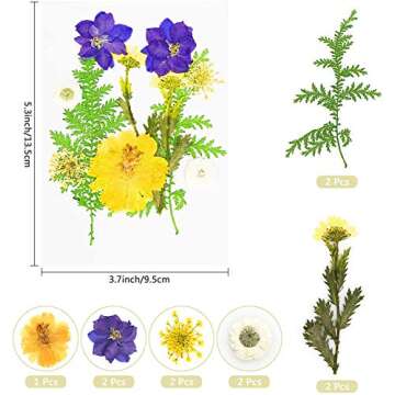 Real Dried Pressed Flowers and Leaves - 73pcs Mixed Multiple Dry Flower and Leaf with Tweezer for DIY Candel Resin Jewelry Nail Pendant Crafts Art Floral Decoration