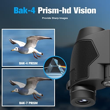 Compact 12x25 Night Vision Binoculars for All