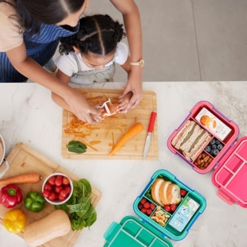 Classic 4.8 Cups Bento Box - Large, Leak-Proof, Durable