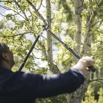 Fiskars Loppers for Tree Trimming, Heavy Duty, with Extendable Handle (24.5"-37" Range), Sharp Bypass Steel Blade Tree Branch Cutter up to 1.5-Inch Diameter Cut Capacity
