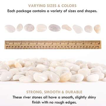 Galashield 5 lbs Approx. 130 White River Rocks Stones for Plants Pebbles for Indoor Plants | Aquariu...