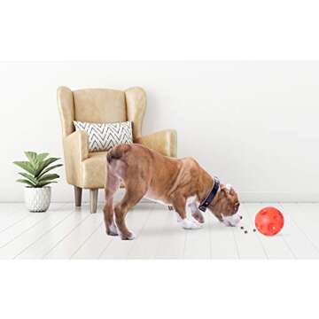 Omega Paw Authentic Tricky Treat Ball - Medium,Orange