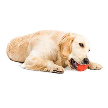 Omega Paw Authentic Tricky Treat Ball - Medium,Orange