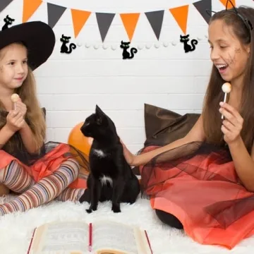 8.2Ft Halloween Felt Banner Cat Garland for Decorations