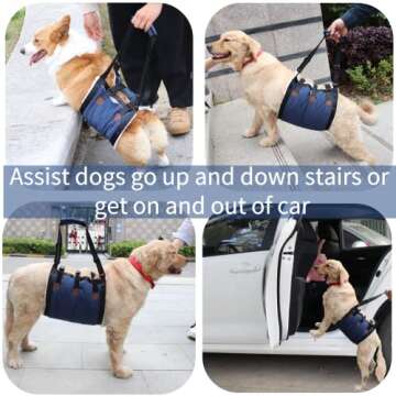 Afuwarm Dog Lift Harness for Elderly and Disabled Dogs