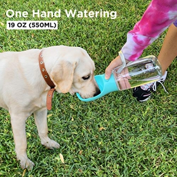Portable Dog Water Bottle - Leak Proof 19 OZ for Travel