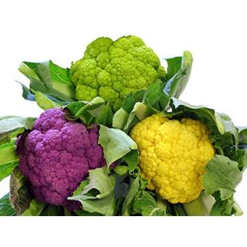 Cauliflower Mix Seeds: Heirloom NON-GMO 4 Varieties