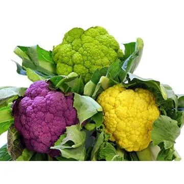 Cauliflower Mix Seeds: Heirloom NON-GMO 4 Varieties