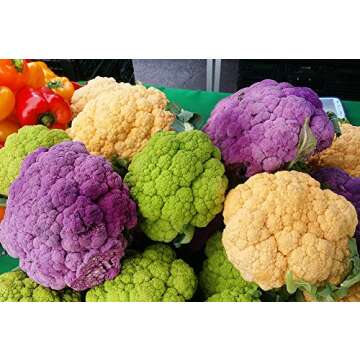 Cauliflower Mix Seeds: Heirloom NON-GMO 4 Varieties
