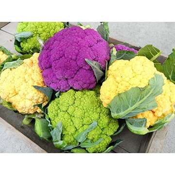 Cauliflower Mix Seeds: Heirloom NON-GMO 4 Varieties