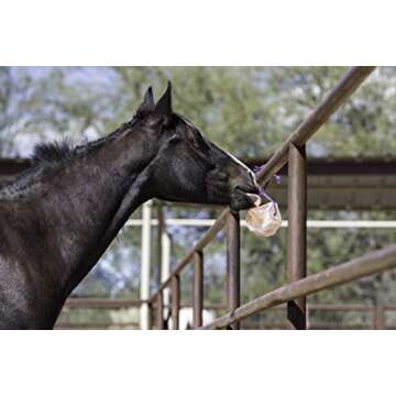 Horsemen's Pride Himalayan Salt Block on Rope - 2.2 lbs