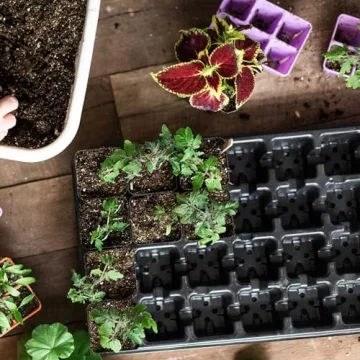 Bootstrap Farmer Durable 32 Cell Seedling Starter Trays