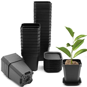 foxany 3" Nursery Pot, 30 Pcs Thick Plastic Plants Pots, Square Flower Planting Pots, Plant Seedling...