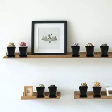 foxany 3" Nursery Pot, 30 Pcs Thick Plastic Plants Pots, Square Flower Planting Pots, Plant Seedling Pots, Seed Starting Pots with Saucers - Black 30 Pcs