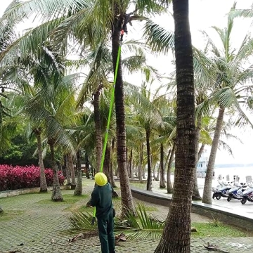 Shaledig Pole Saws - Adjustable 27 Feet Tree Trimmer