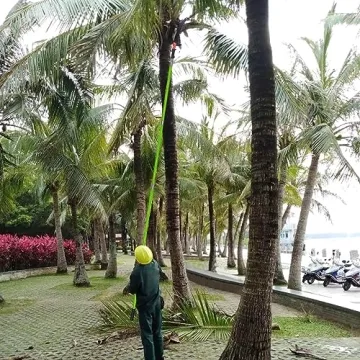 Shaledig Pole Saws - Adjustable 27 Feet Tree Trimmer