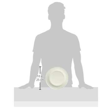 Empress Uncoated Paper Plate, 9 Inches, White, Pack of 100 - 1004997