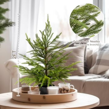 Delightful 2ft Norfolk Pine Tabletop Tree for Holidays