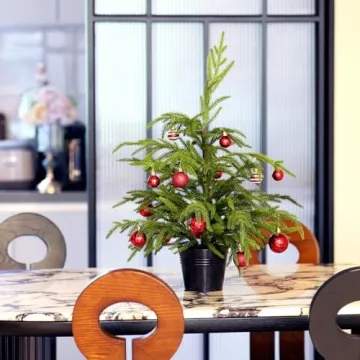 Delightful 2ft Norfolk Pine Tabletop Tree for Holidays