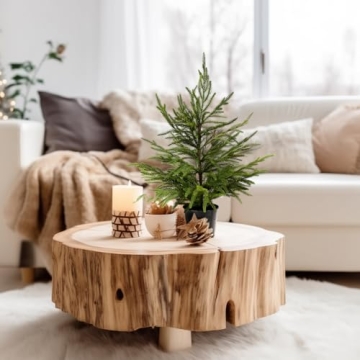 Delightful 2ft Norfolk Pine Tabletop Tree for Holidays