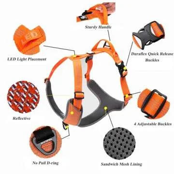 TRUE LOVE Dog Harness Outdoor Adventure II Reflective Vest with 2 Leash Attachments Matching Leash and Collar Available TLH6071