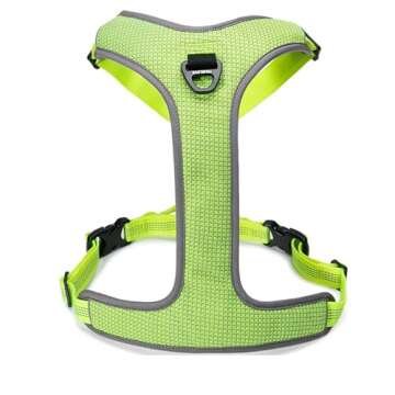 TRUE LOVE Dog Harness Outdoor Adventure II Reflective Vest with 2 Leash Attachments Matching Leash and Collar Available TLH6071