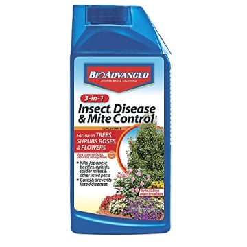BIOADVANCED 3-in-1 Insect and Disease Control Concentrate