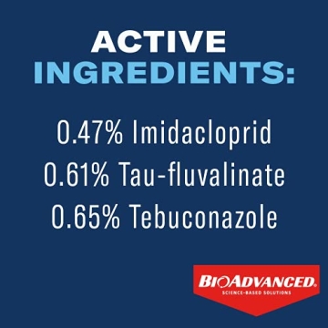 BIOADVANCED 3-in-1 Insect and Disease Control Concentrate