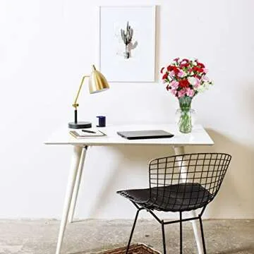 Rainbow Carnations - Brighten Any Occasion with 20 Stems