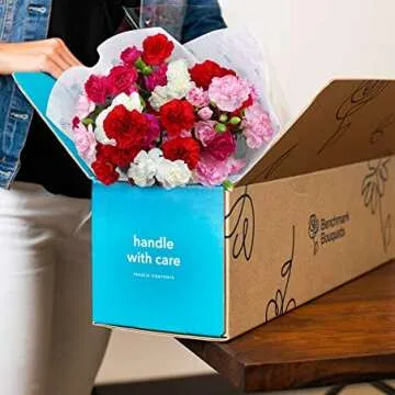 Rainbow Carnations - Brighten Any Occasion with 20 Stems