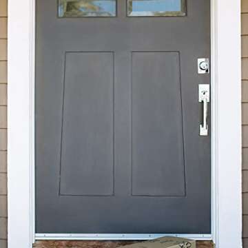 Rainbow Carnations - Brighten Any Occasion with 20 Stems