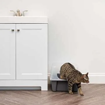 IRIS USA Large High-Sided Cat Litter Box with Scoop