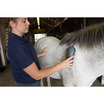Oster 7-Piece Horse Grooming Kit for All Equestrians