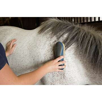 Oster 7-Piece Horse Grooming Kit for All Equestrians