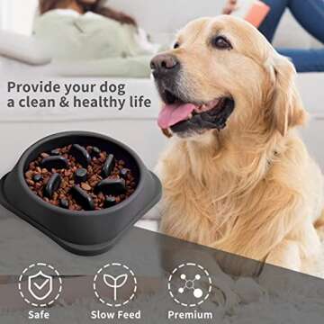 NOYAL Slow Feeder Dog Bowl - Prevent Choking & Indigestion