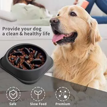 NOYAL Slow Feeder Dog Bowl - Prevent Choking & Indigestion