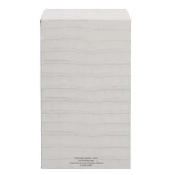 JIMMY CHOO Man Ice - Long Lasting Fragrance for Men