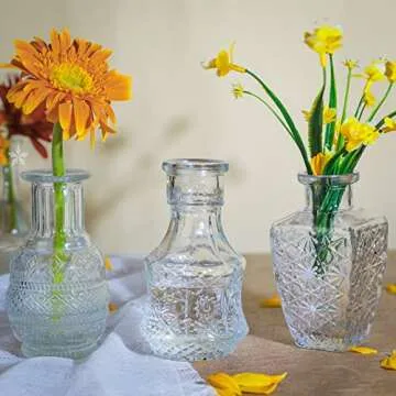 Glass Vase Bud Vases in Bulk Set of 12 Small Vases for Flowers,Embossed Clear Flower Vase,Vintage Glass Bottle Great for Table Decor,Wedding Centerpiece Table and as a Gifts