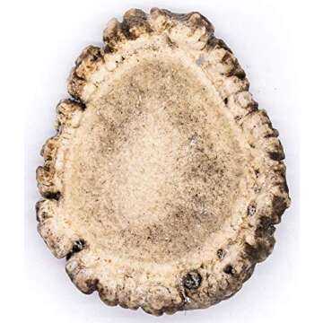 Perfect Pet Chews Elk Antler Burr Dog Chew - Grade A, All Natural, Organic, and Long Lasting Treats - Made from Naturally Shed Antlers in The USA (Medium Regular Treat)