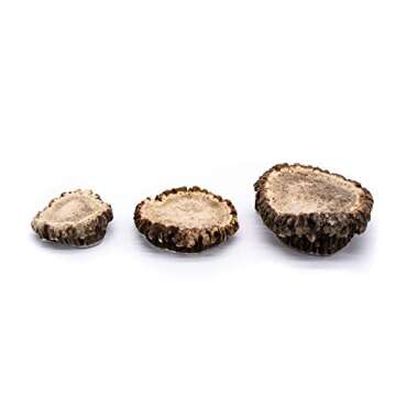 Perfect Pet Chews Elk Antler Burr Dog Chew - Grade A, All Natural, Organic, and Long Lasting Treats - Made from Naturally Shed Antlers in The USA (Medium Regular Treat)