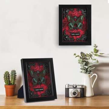 Real Butterfly Framed Butterfly Taxidermy - Butterfly Shadow Box, Real Framed Butterflies in a Box f...