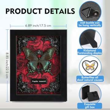 Real Butterfly Framed Butterfly Taxidermy - Butterfly Shadow Box, Real Framed Butterflies in a Box for Gothic Home Decor Aesthetic (A_Alpine Black Swallowtail Red Background #1)