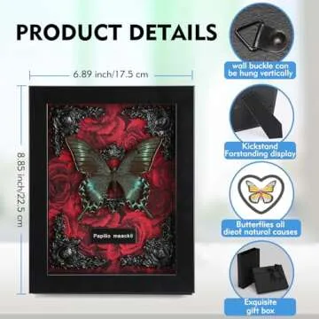 Real Butterfly Framed Butterfly Taxidermy - Butterfly Shadow Box, Real Framed Butterflies in a Box for Gothic Home Decor Aesthetic (A_Alpine Black Swallowtail Red Background #1)